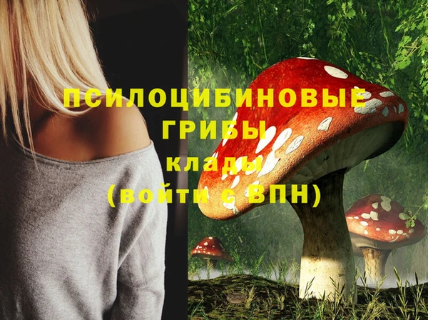 прущие грибы Пересвет