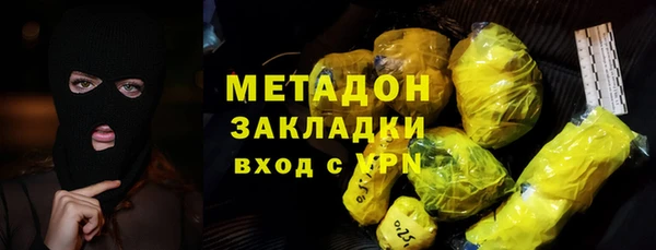 прущие грибы Пересвет