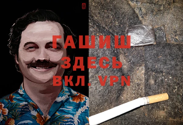 прущие грибы Пересвет