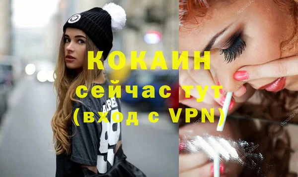 прущие грибы Пересвет