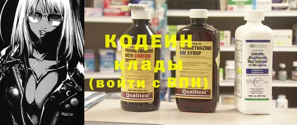 прущие грибы Пересвет