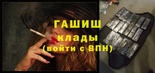 прущие грибы Пересвет